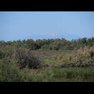 Der Pic du Canigou ist über der Ebene noch immer zu sehen